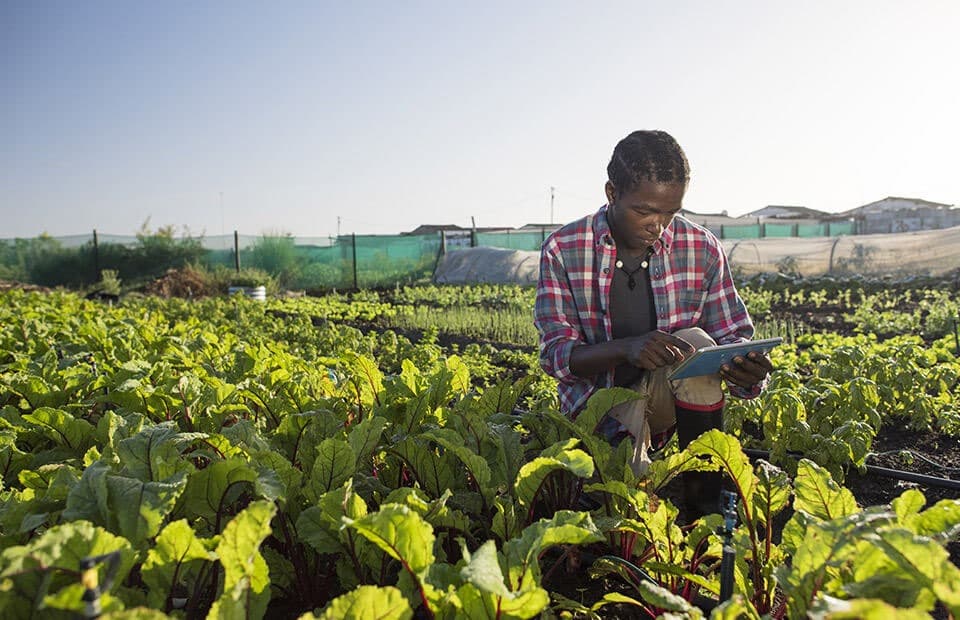 Agriculture